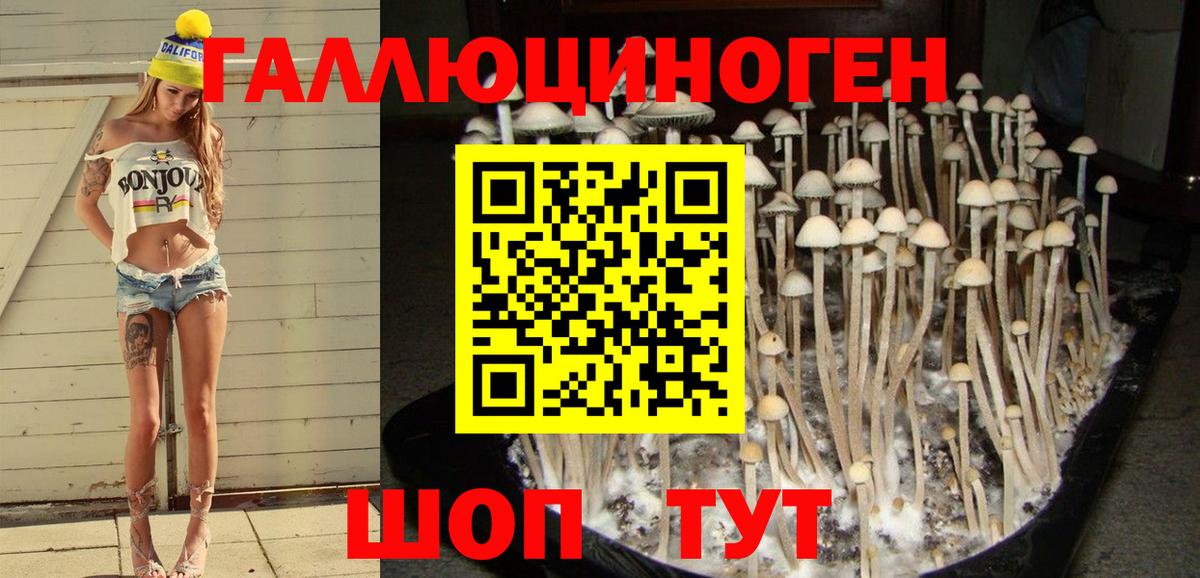 Псилоцибиновые грибы мухоморы  Вход с VPN  Галлюциногенные грибы прущие грибы  Екатеринбург 