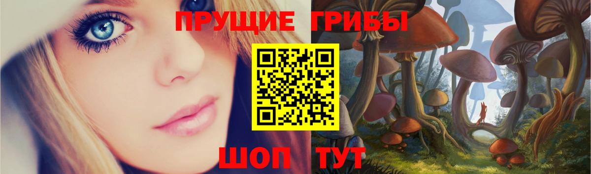 Галлюциногенные грибы Psilocybe Екатеринбург